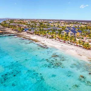 Delfins Bonaire, Tapestry Collection By Hilton Kralendijk na wyspie Bonaire